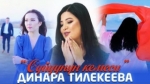 Динара Тилекеева 
