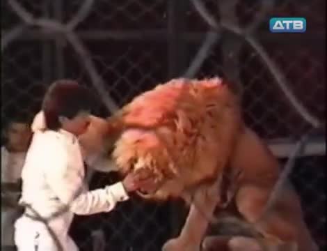 Арстан адамга кол салды...
