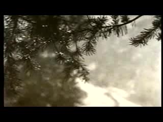 "Наристе" тобу архив
