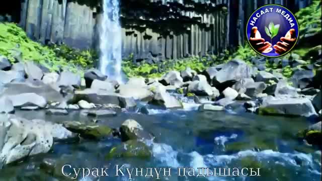 Чубак ажы Жалилов. "Шарият" телеберүүсү. Эфир 05.12.2014