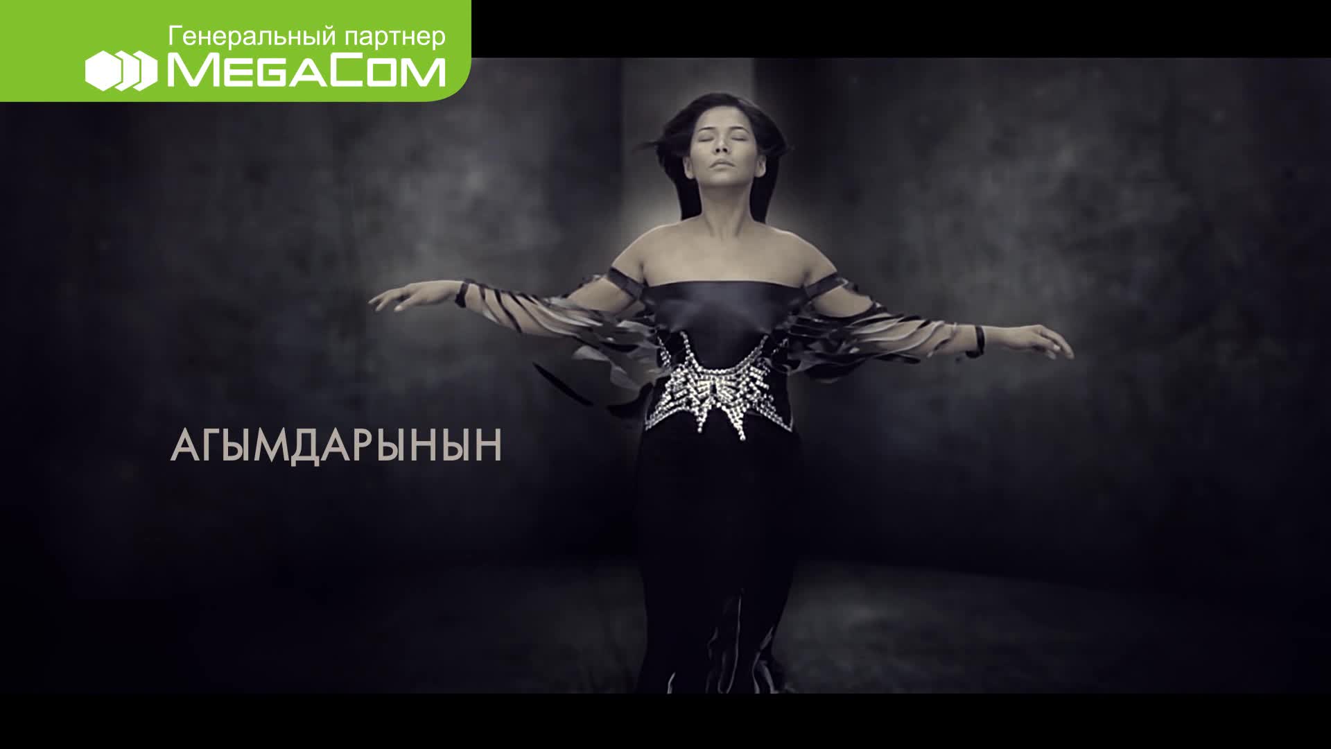 Гүлзададан арт-шоу