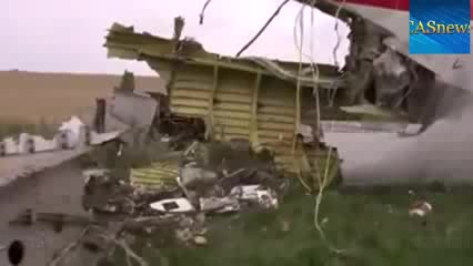 Малайзиялык учак Украинанын үстүндө жарылды