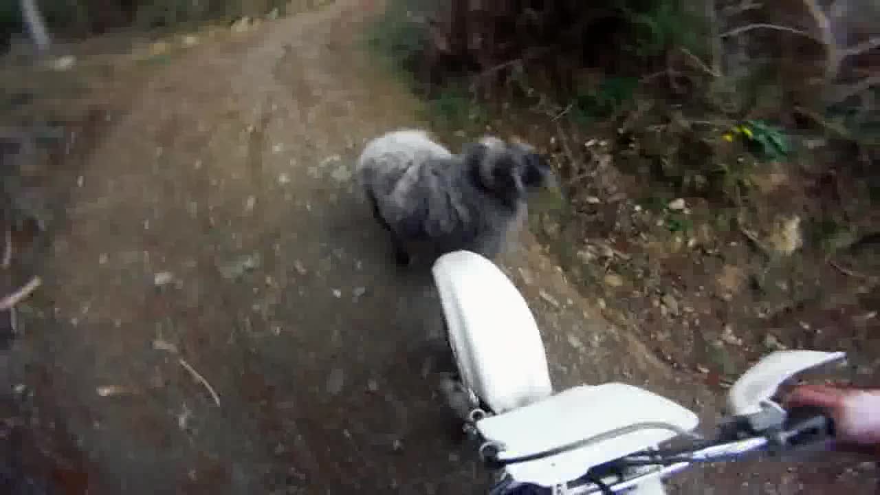 Мэээ! Накта Go Pro))