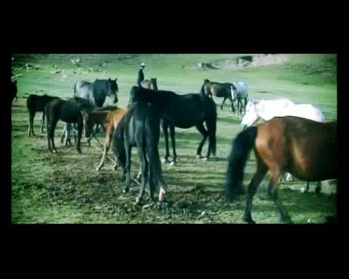 Калил - Кымыз