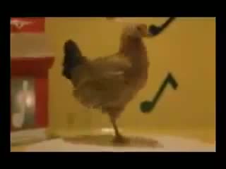Клип-пародия Макс Мырза - Сары тоок
