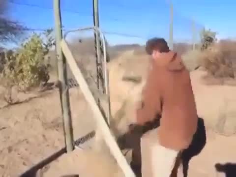 Жеп салат го
