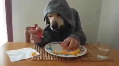 Ха-ха! Итке айланган адам)))