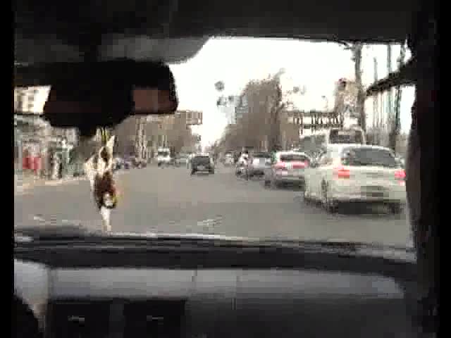 Бишкекте масты кубалап жүрүп кармашты