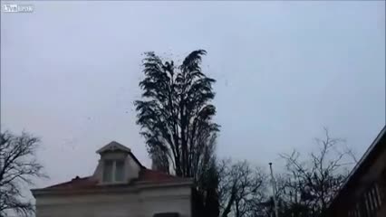Бакты карап тур