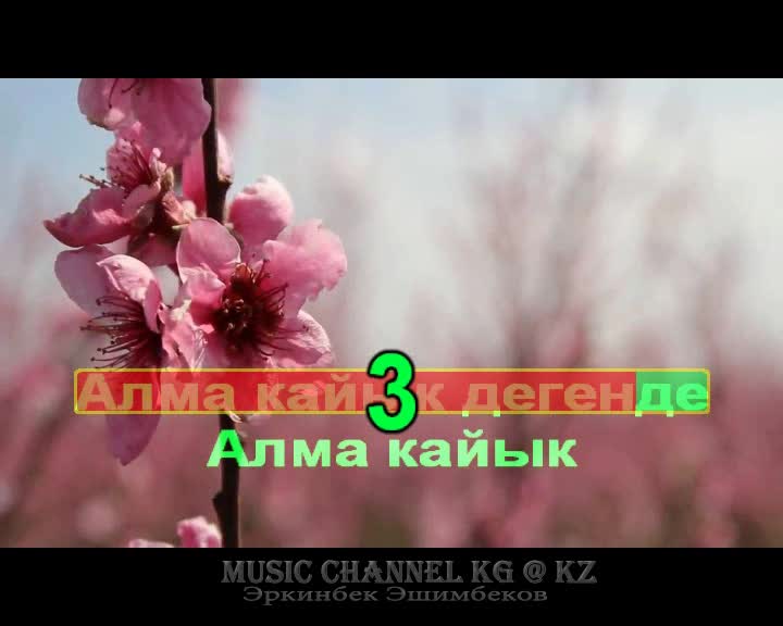 Караоке! Дайыр Исмадияров - Алма кайык