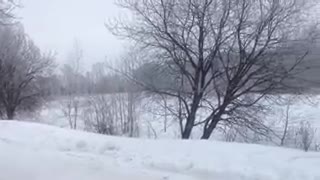 Орусиядагы кыргыз студенттеринин кайрылуусу