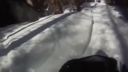 Бугу адамга кол салса, аны атып салды