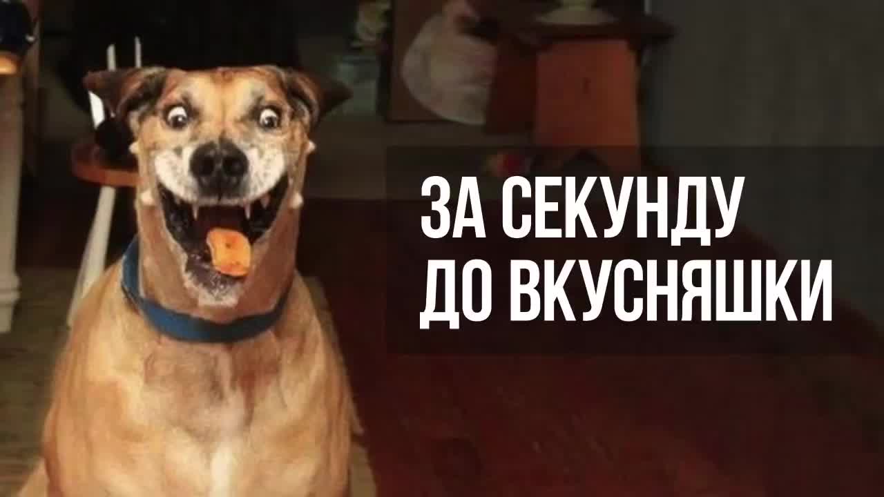 1 секунда калганда... ))
