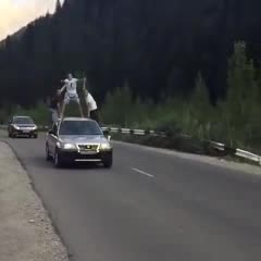 Тоонун абасы мээсин айлантыптыр ))