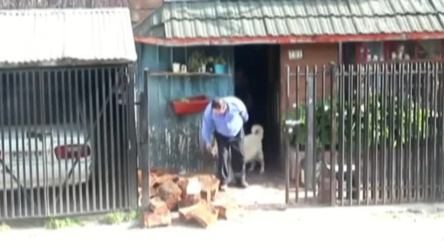 Жардам бергенге эч ким жокто же акылдуу ит ))