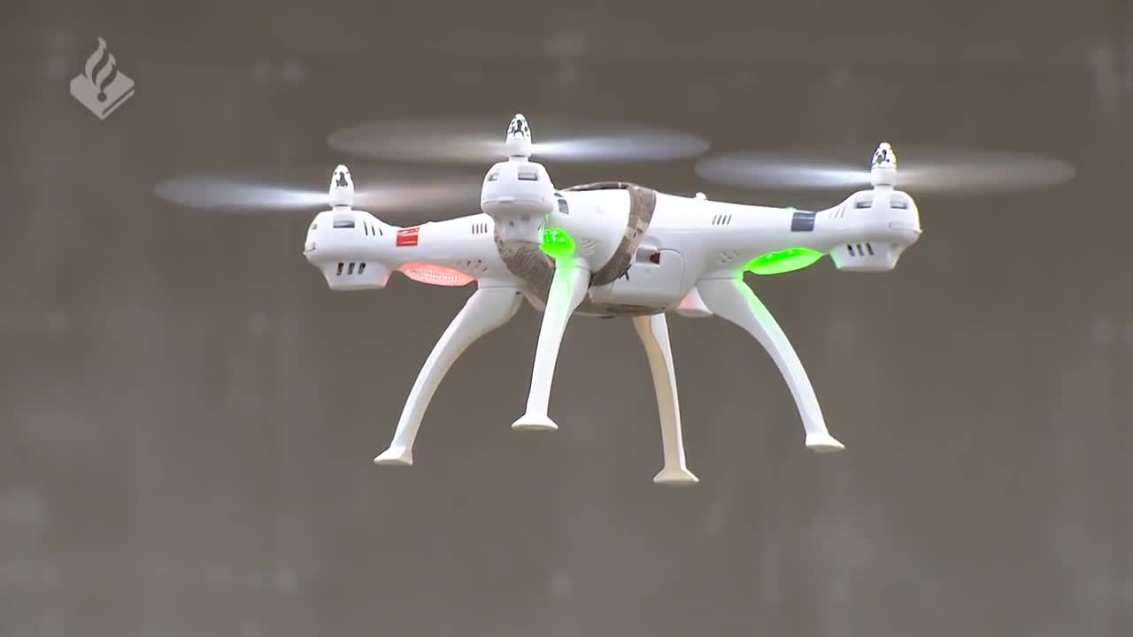 Нидерландыда бүркүттөрдү дрондорго каршы колдонушат