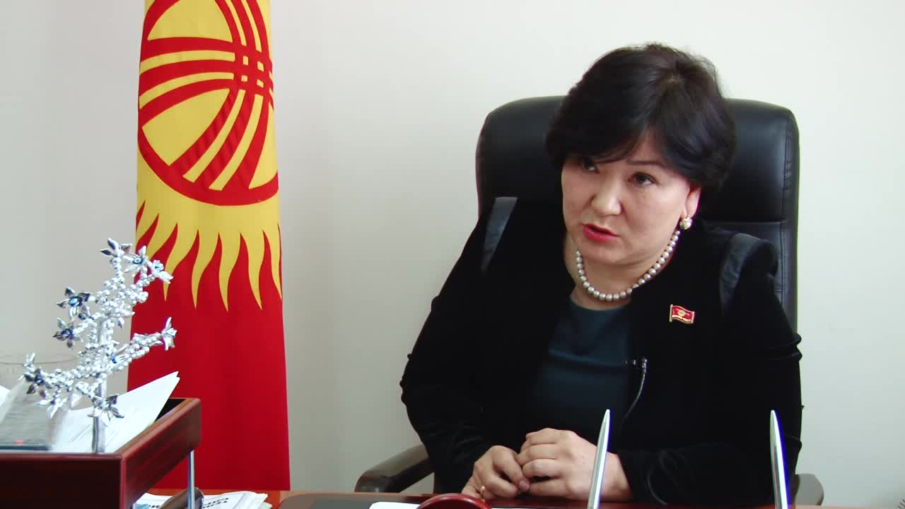 Үңкүр-Тоо маселеси боюнча Жогорку Кеңештин депутаты Р.Түмөнбаева
