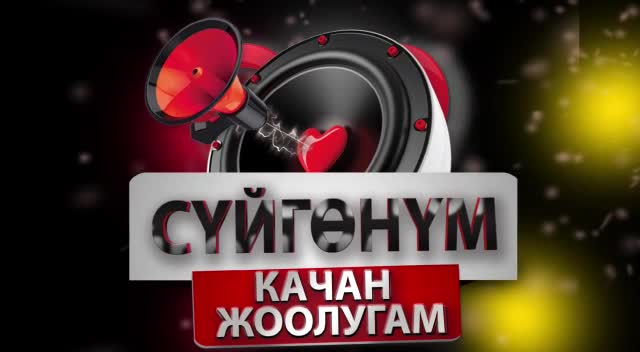 Жылдызбек Мирзакасимовдон шоу концерт