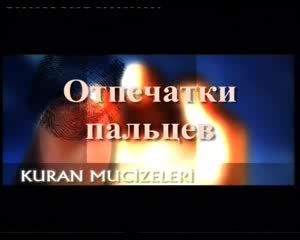 Колдун мөөрү эмне үчүн бири-бирине окшобойт?