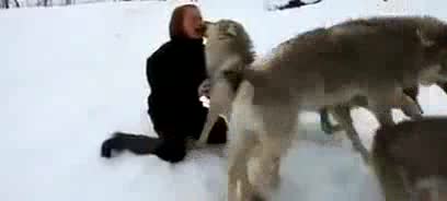 Бөлтүрүктөрдү багып чоңойтуп коё берген кыз.