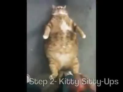 Мышык деле арыктады, сенин дагы колуңдан келет!