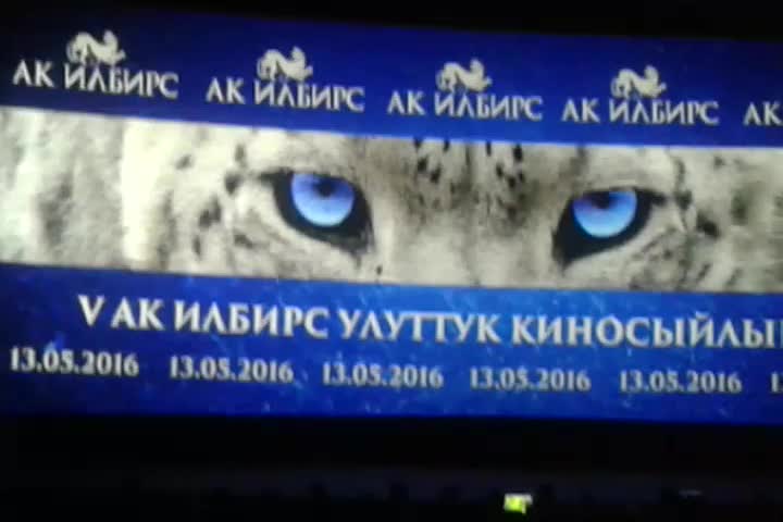 "Ак илбирс" кино сыйлыгы