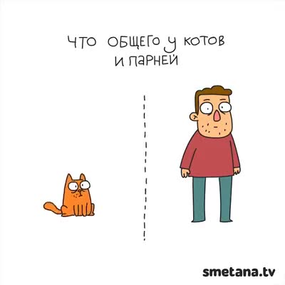  Мышыктар менен эркектердин окшош жактары