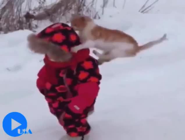 Жаныбарлар адамдардын жашоосунда )))