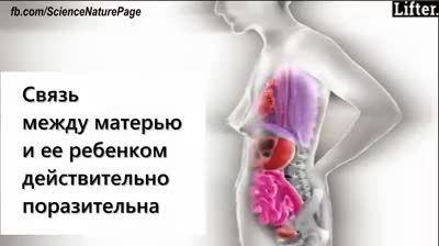 Эне менен баланын таң каларлык байланышы