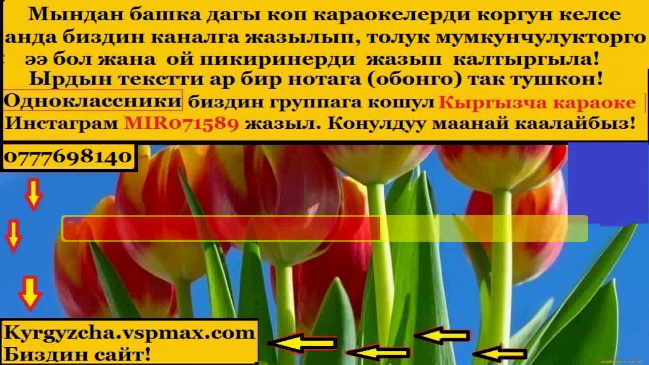 Кыргызча стихи. Гүлнарам кыргызча. Текст кыргызча. Оомат мейизкан. Раяна дуйшеева.