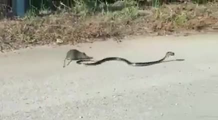 Эне деген мына ушундай...