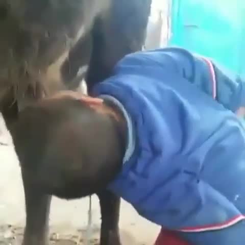 Бала эмнени эмип жатат?