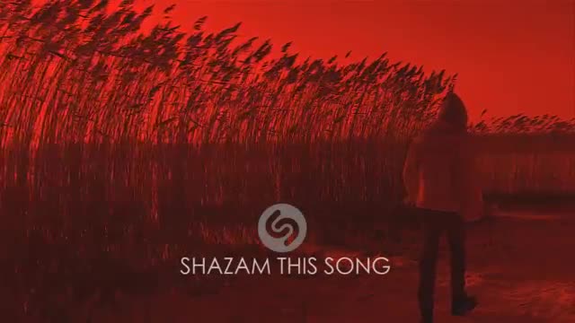  Markus Riva - Dynamite (lyrics video)