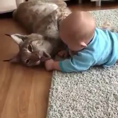 Сиз балаңызды сүлөөсүн менен ойнотот белеңиз?