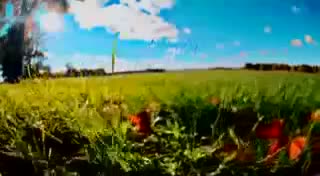  Жүзүмө түкүрбө, мекендешим. Башкалардын алдында кыргызды кемсинтпе!