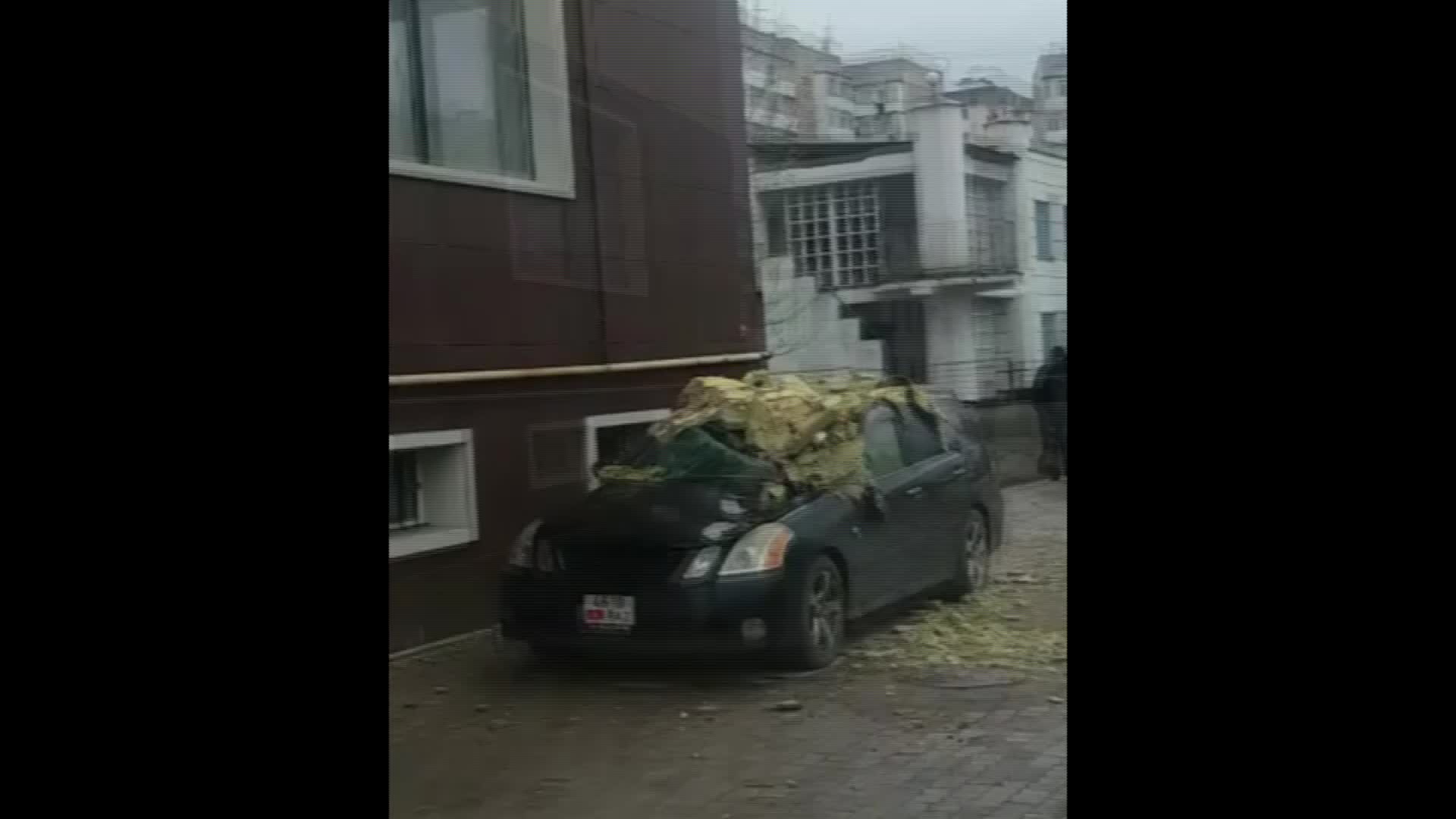  Жалда шыбак унаанын үстүнө түштү