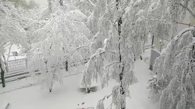  Харьковдо кар жаады 19.04.2017