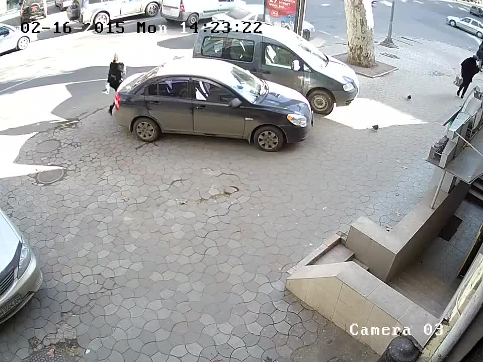 Жарык жайдагы тоноо