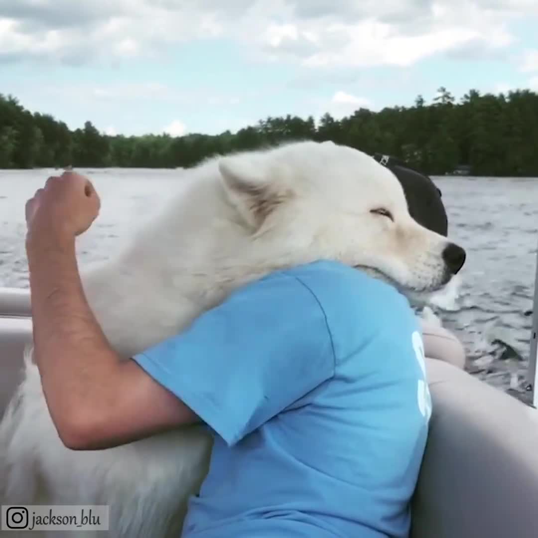 Жаныбарлар достугу. Мээримге, сүйүүгө толгон ролик. 