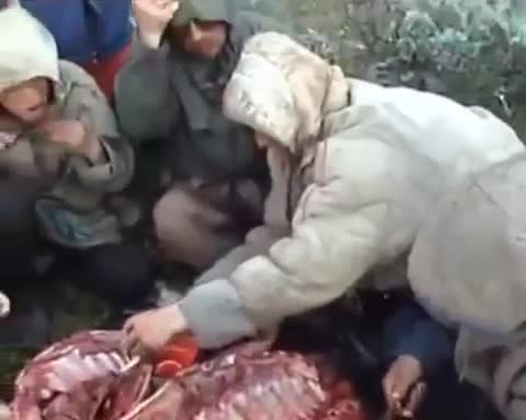 Этти чийки жеп жатышат