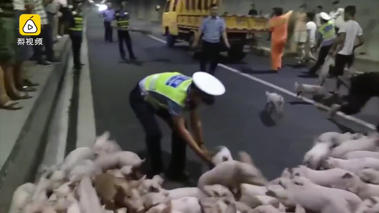 Кытайда 100дөгөн торопойлор милициянын шаштысын алды