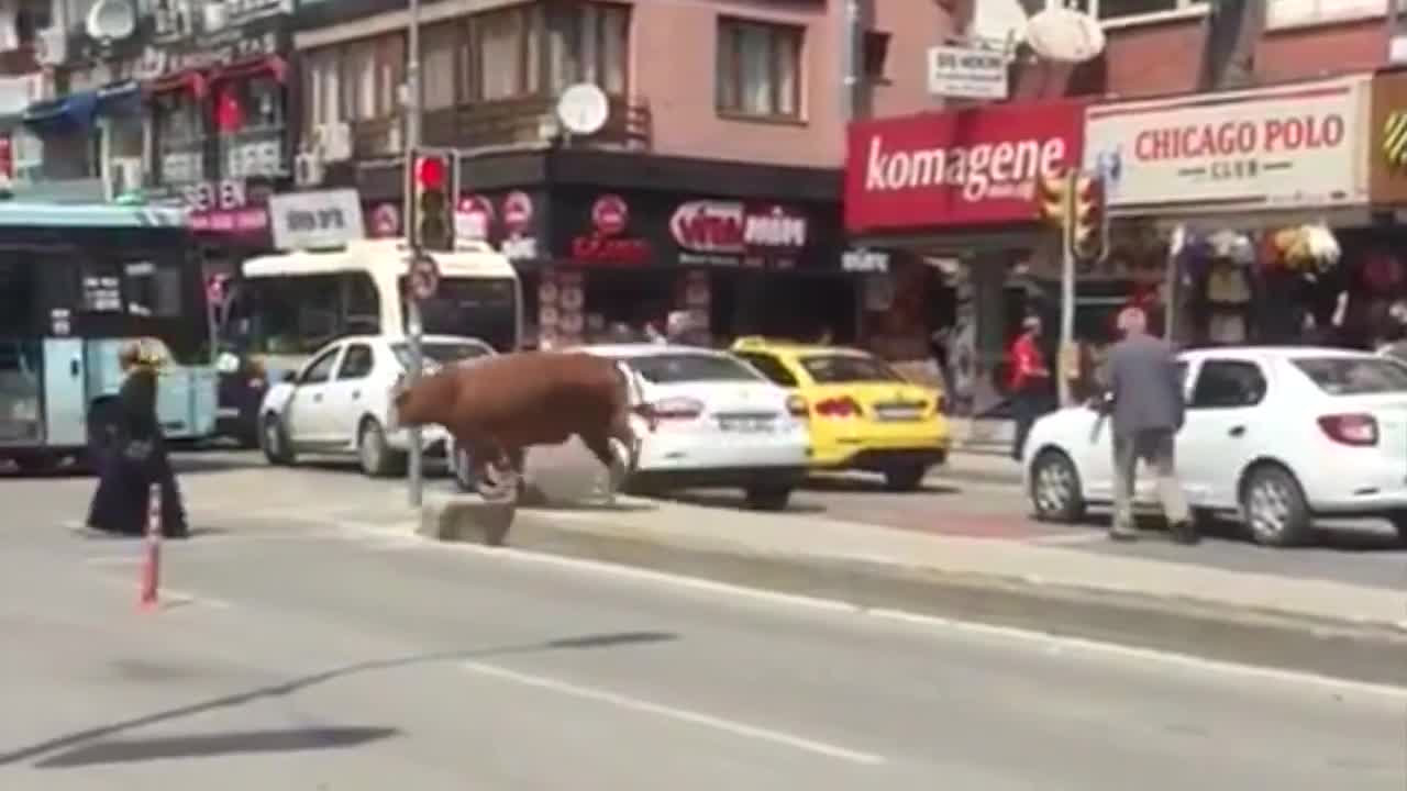 Бука аялды ыргыта сүздү