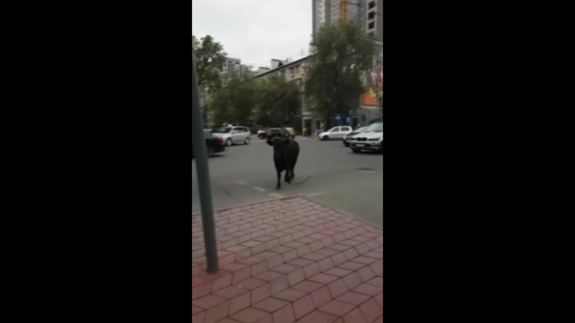 Бишкектин так ортосунда уй сейилдеп...