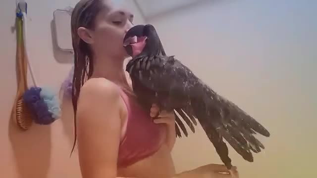 Кара тоту куш ээси менен душта))