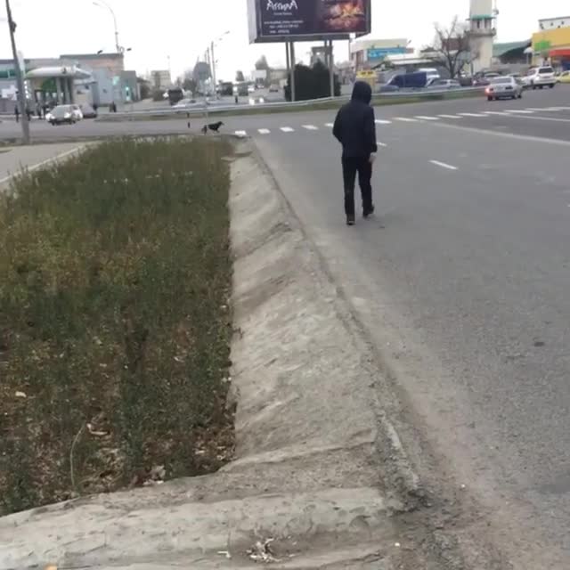 Ошондо жол эрежесин итче сактай албайбызбы?
