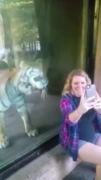Жырткыч кош бойлуу аялдын ичин тыңшап))