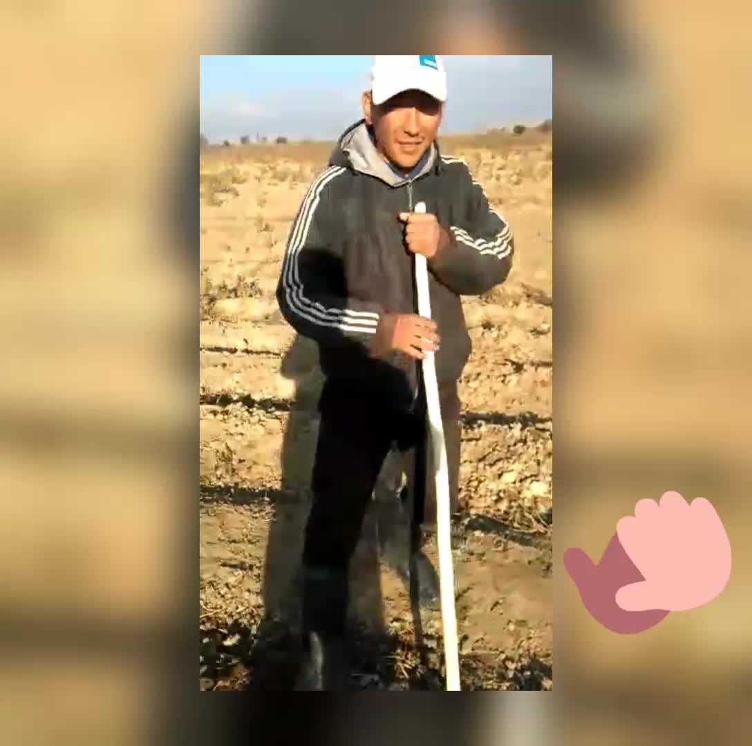 Акча жок да акча жок да кризис да кризис да.