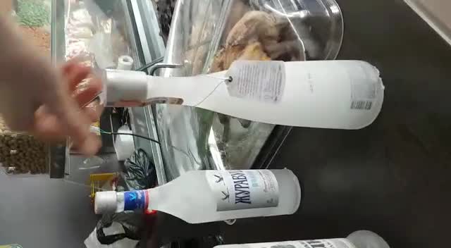 Казакстанда арактар тоңуп жатат