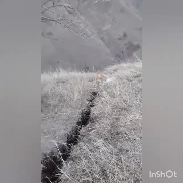 Аксыда тургундар көчкү коркунучунда