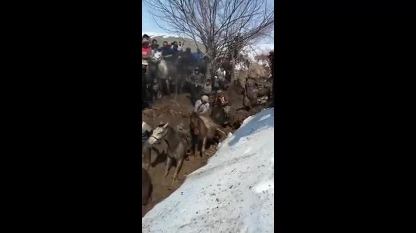 Атты кыйнаган бул эмне деген оюн?